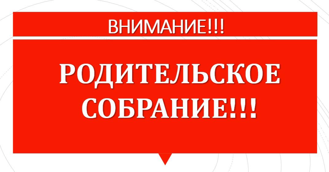 IhCdStzaezd8ygkVML5w1725437835.jpg